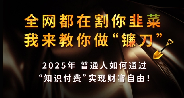 全网都在割你韭菜，我来教你做镰刀，2025年普通人如何通过 知识付费 实现财F自由【揭秘】-西蒙学社