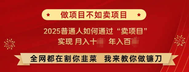 必看，做项目不如卖项目，2025普通人如何通过“卖项目”实现月入十个，年入百个-西蒙学社