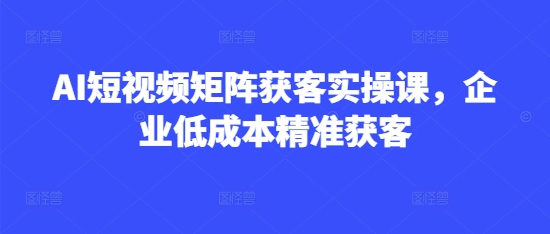 AI短视频矩阵获客实操课，企业低成本精准获客-西蒙学社