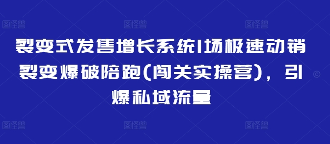 裂变式发售增长系统1场极速动销裂变爆破陪跑(闯关实操营)，引爆私域流量-西蒙学社