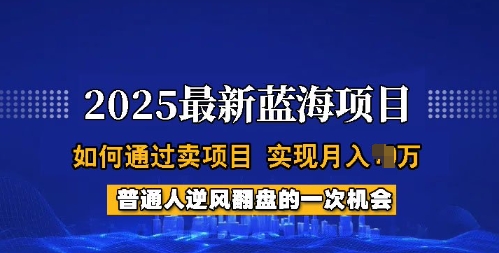 2025蓝海项目，普通人如何通过卖项目，实现月入过W，全过程【揭秘】-西蒙学社