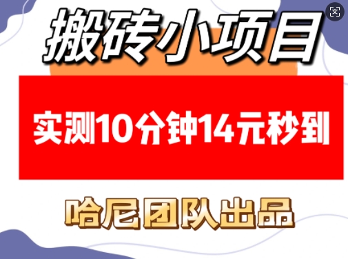 搬砖小项目，实测10分钟14元秒到，每天稳定几张(赠送必看稳定)-西蒙学社