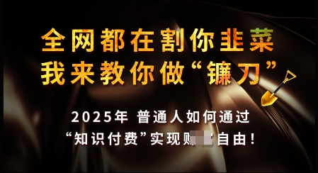 知识付费如何做到月入过W+，2025我来教你做“镰刀”【揭秘】-西蒙学社