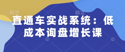 直通车实战系统：低成本询盘增长课，让个人通过技能实现升职加薪，让企业低成本获客，订单源源不断-西蒙学社