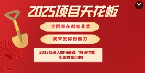2025项目天花板普通人如何通过知识付费，实现财F自由【揭秘】-西蒙学社