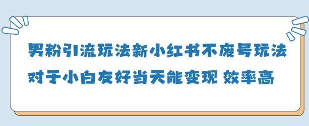 最新男性流量导流技巧：日入千元实战攻略 当天见效易操作-西蒙学社