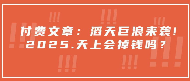 付费文章：滔天巨浪来袭！2025天上会掉钱吗？-西蒙学社