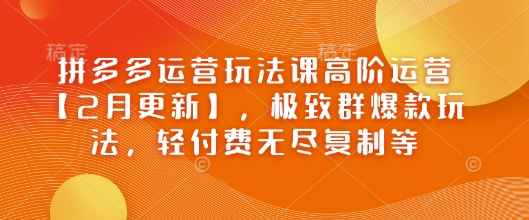 拼多多运营玩法课高阶运营【 2 月更新】，极致群爆款玩法，轻付费无尽复制等-西蒙学社