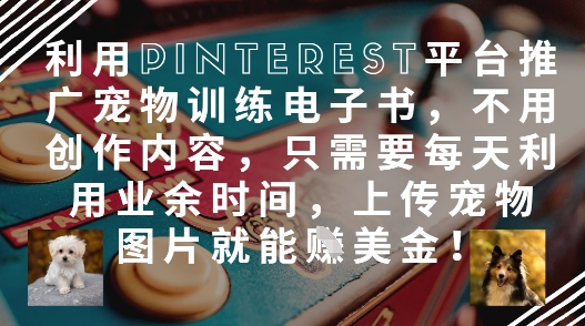 零基础兼职！上传萌宠图片到海外平台日赚百元美金副业攻略-西蒙学社