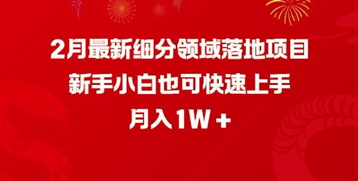 2月最新细分领域落地项目，新手小白也可快速上手，月入1W-西蒙学社