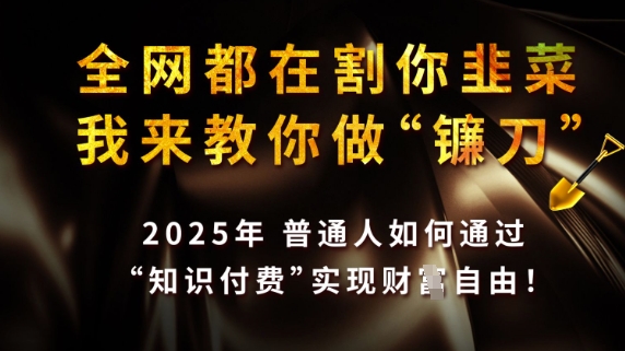 全网都在割你韭菜，我来教你做镰刀，2025普通人如何通过知识付费，实现财F自由【揭秘】-西蒙学社