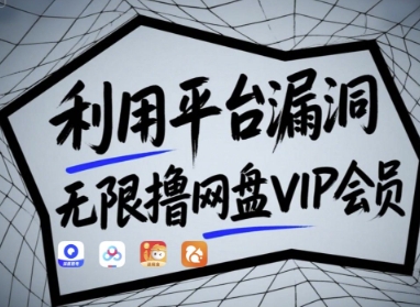 网盘VIP无限获取技术解析：实测有效漏洞原理与详细操作步骤分享-西蒙学社