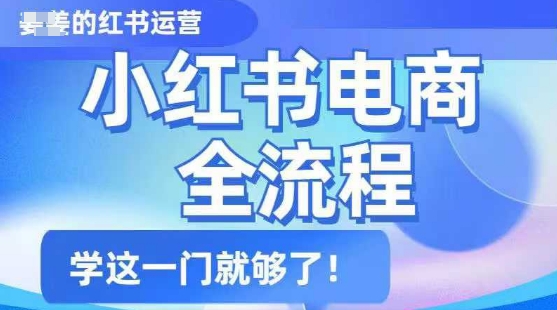 小红书电商全流程，精简易懂，从入门到精通，学这一门就够了-西蒙学社