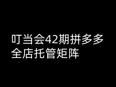叮当会拼多多打爆班原创高阶技术第42期，拼多多全店托管矩阵-西蒙学社