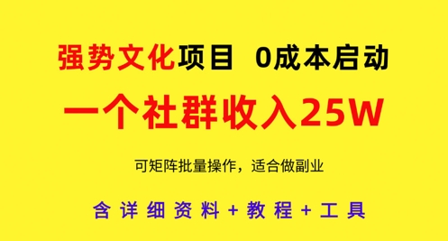 零成本创业实操：揭秘月入25万社群矩阵化运营 手把手教学打造高收益文化项目-西蒙学社