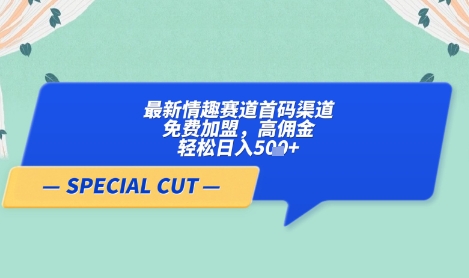 轻云私域新风口项目首批代理0元加盟 高收益副业日赚500+稳赚-西蒙学社