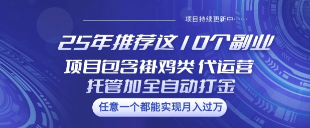 25年推荐这10个副业项目包含褂鸡类、代运营托管类、全自动打金类【揭秘】-西蒙学社