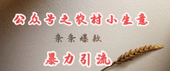 deepseek写农村小项目，条条爆款，暴力引流-西蒙学社