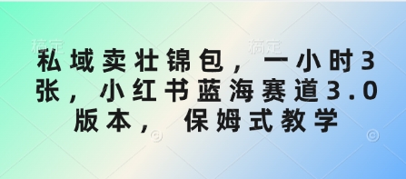 私域卖壮锦包，一小时3张，小红书蓝海赛道3.0版本， 保姆式教学-西蒙学社
