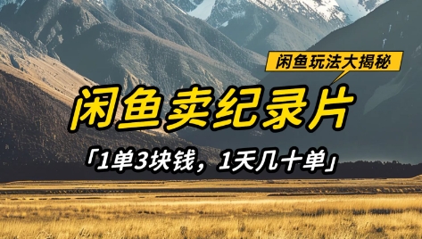 闲鱼卖纪录片1单3块钱，1天几十单，项目稳定有潜力-西蒙学社