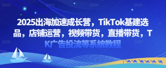 2025跨境特训营：从TikTok平台搭建选品到店铺实战运营，短视频变现+直播营销攻略与TK广告精准投放全链路指南-西蒙学社