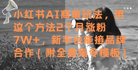 小红书AI商单变现全攻略：零基础2个月快速涨粉7万+，轻松接品牌合作附详细指令方案-西蒙学社