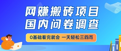 新手零门槛操作国内问卷调查网创项目 日赚300+真实案例解析轻松提现-西蒙学社