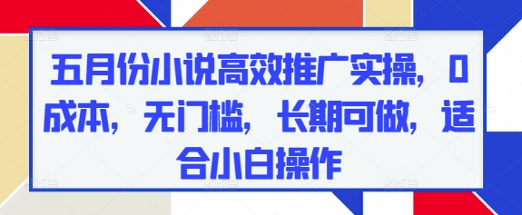 5月小说推广实战：零门槛零投入长期收益，新手小白轻松上手全攻略-西蒙学社