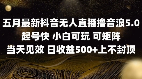 2025年5月无人值守直播新技术 单日轻松收割5位数音浪实战指南详解-西蒙学社