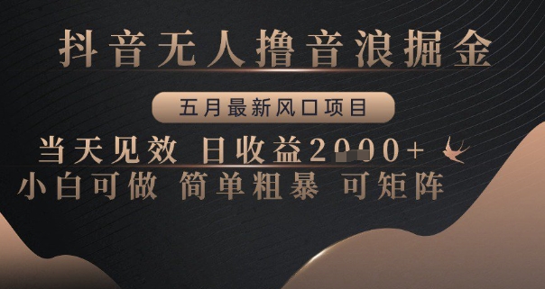 抖音无人直播音浪变现新玩法 五月零门槛风口项目当天见效日入多张收益轻松放大收益矩阵操作技巧解析-西蒙学社