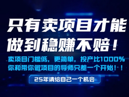 零风险稳赚项目实操方法 无需经验轻松上手 年入百万真实案例解析-西蒙学社