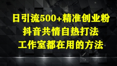 每日精准引流500+创业粉 抖音共鸣热推法 工作室实战高效秘籍-西蒙学社