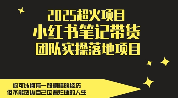 2025 热门副业推荐，小红书带货团队实战项目日入 500+ 秘诀-西蒙学社