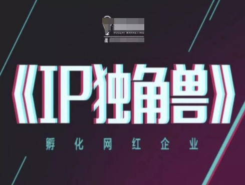 IP独角兽打造网红企业，实战IP教程分享-西蒙学社
