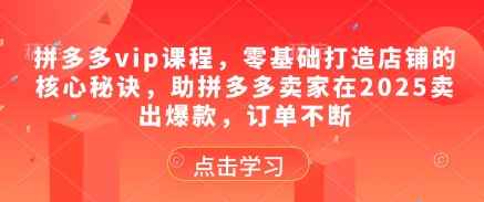 拼多多零基础开店必看，2025爆款打造核心技巧助力订单持续增长-西蒙学社