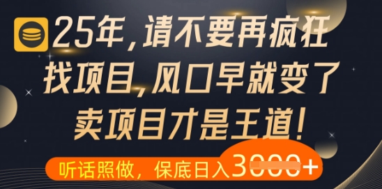 25年还在盲目找项目？看完这篇你就明白了-西蒙学社