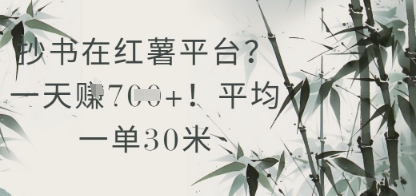 小红书抄书兼职靠谱吗？单笔30元日赚数百真实收益揭秘-西蒙学社