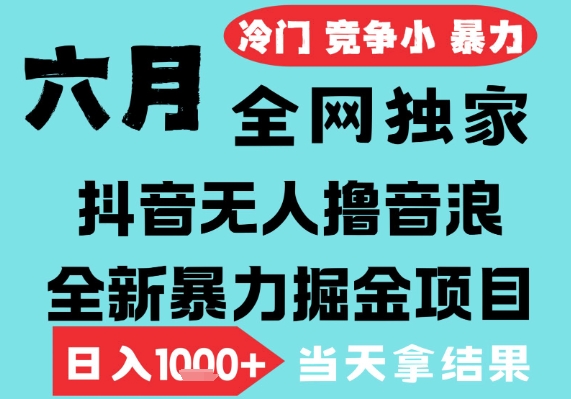2025 年 6 月抖音无人直播新玩法，轻松日赚千元，小白也能做的音浪项目矩阵操作揭秘-西蒙学社