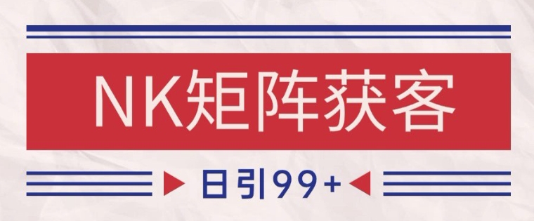 短视频平台NK领域精准引流实战 智能矩阵日增200+客源技巧全解-西蒙学社