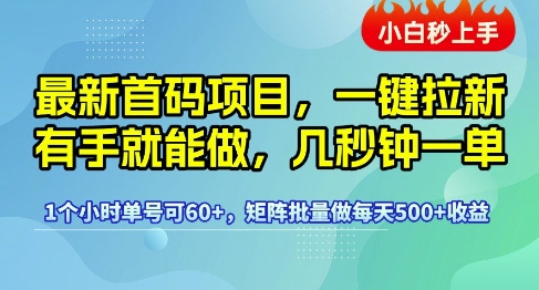 2024首码项目：零门槛自动拉新秒单操作，时薪60+矩阵批量日赚5张内幕-西蒙学社
