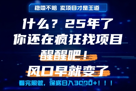 25 年还在盲目找项目？看完这些你终于明白了！-西蒙学社