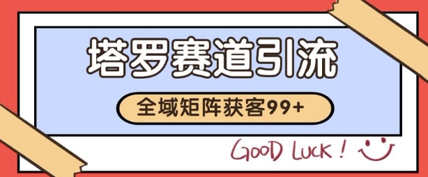 抖音小红书塔罗引流实战：日增 200+ 精准流量矩阵搭建全攻略-西蒙学社