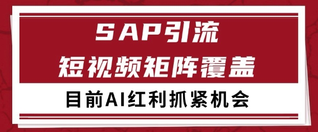 小红书抖音SAP行业精准获客秘籍 矩阵式运营日吸200+精准流量实战解析-西蒙学社