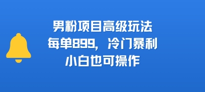 男粉项目进阶操作指南，单单收益899，小众高利润，新手也能轻松上手-西蒙学社