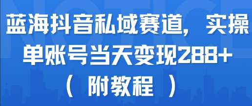 蓝海抖音私域引流实战，单账号日入288+实操教程分享-西蒙学社