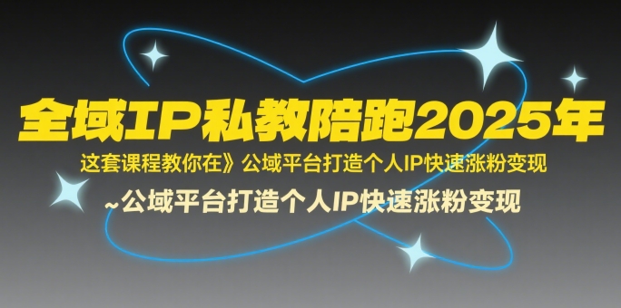 2025全域IP私教陪跑指南，公域平台打造个人IP快速涨粉变现技巧-西蒙学社