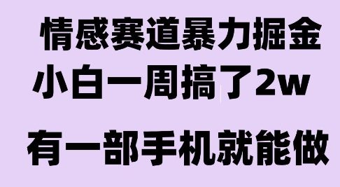 情感暴力掘金项目实操揭秘，新人一周轻松入账2W，小白也能上手的长久稳定副业-西蒙学社