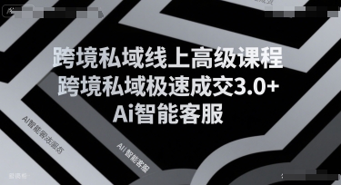 跨境私域线上高阶课程 跨境私域极速成交3.0与AI智能客服实战培训-西蒙学社