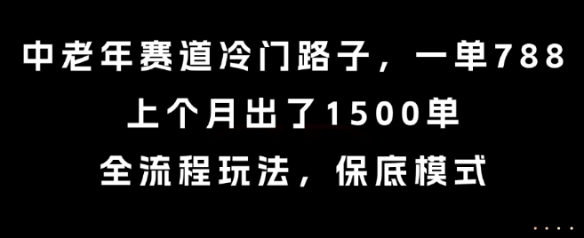 中老年市场冷门项目揭秘 一单一单788元 月出1500单的稳定玩法与保底模式解析-西蒙学社