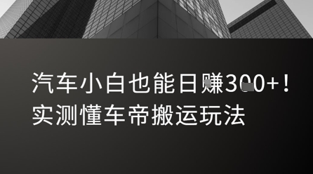 新手必看：日赚300+的懂车帝信息差玩法，实测有效！-西蒙学社